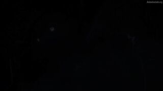 Mamonogurai no Boukensha ~Ore Dake Mamono wo Kuratte Tsuyoku Naru~ Episodes 5
