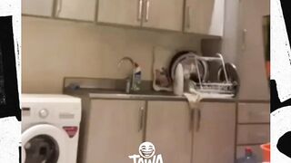 sangat matang persiapan nya wkwk