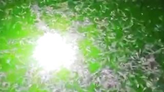 Berapa ketinggian AIR KOLAM dan jumlah TEBAR bibit lele❓