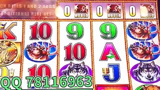 腾龙正规公司实体游戏平台官网 6667763tv 客服微信 vaab88