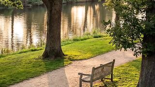 Sit back and enjoy