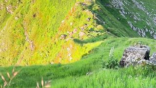 Beautiful place 65