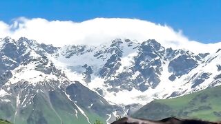 Mountain, flowers and horse