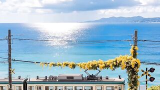 Train with sea view