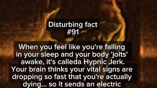 Facts 17