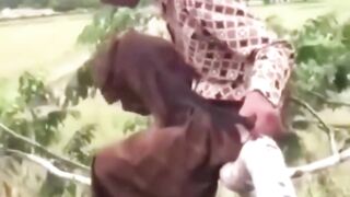Enaknya tinggal di bumi emang banyak hiburan.