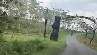 leisurely strolling