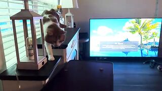 Back away from the window