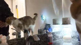 Perdy boy in the mirror