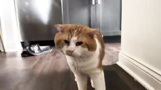 To the couch