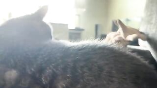 You can’t sneak
