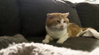 Little smirk