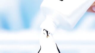 Penguin 5