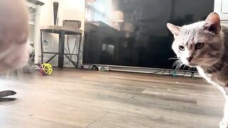 Purring plot