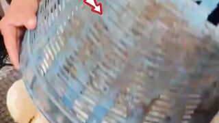 Mesin pengurang kadar air getah