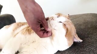 Scrufflepuss