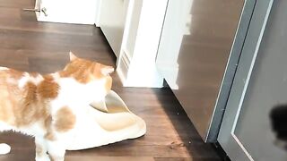 When you yawn and talk at the same time