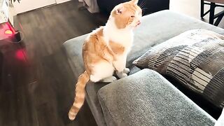 Licky lips