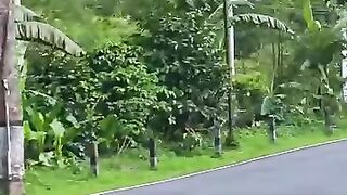 Jalan menuju Sukorejo kendal #reels #indonesia