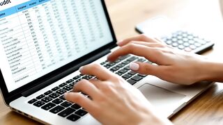 Professional Accountant Working on Financial Spreadsheet on Laptop