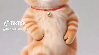 Dancing cat ❤️
