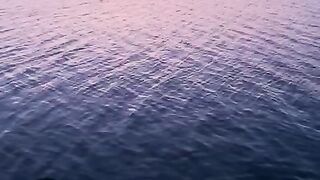 Echoes of the Horizon