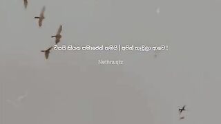 New one 2