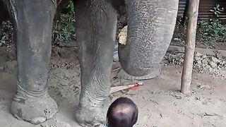 Small baby trying Ride