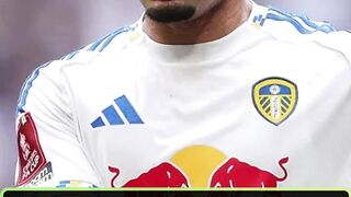 Leeds United vs Burnley Pekan 35 Liga Primer Inggris: Momentum Emas The Whites, Burnley Jadi Korban Berikutnya?