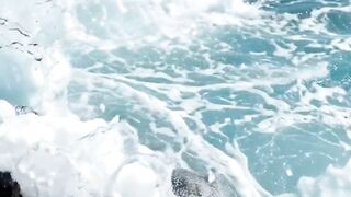 Mesmerizing Blue Ocean Waves