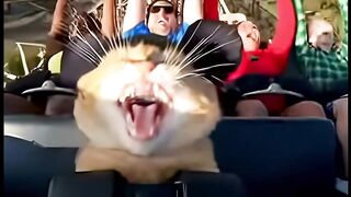 He’s frightened.