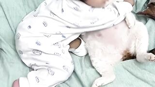 Kittens love rare moments