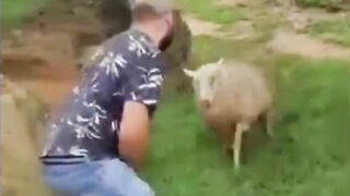 Funniest Pet Fails Compilation 2026 – Try Not to Laugh!