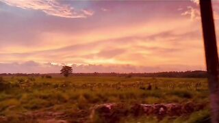 Beautiful sunset in sri laknka