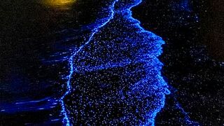 The Magic Glowing Beach of Maldives! ???????? (Sea of Stars)