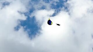 Professional skydivers jump