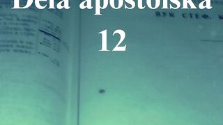 Dela apostolska 12