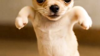 Do You Like This Dance?