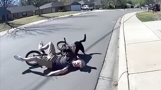 Crazy Dogs 2