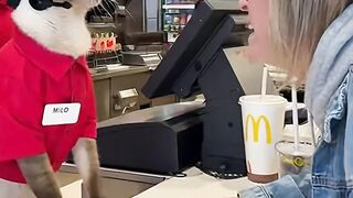 Customer Complaints to the Cashier
