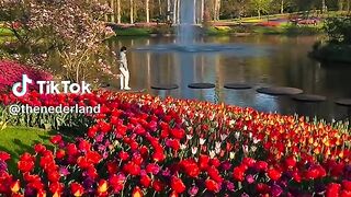 The Nederland