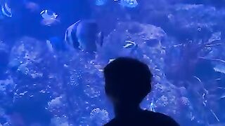 Aquarium 12