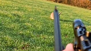 He Aimed to Shoot… But the Rabbit Changed Everything ???????? | Unexpected Ending