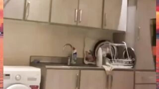 apalgi goreng pempek wak ngeri