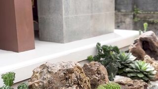 Zen Garden