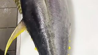 Tuna fish cutting video