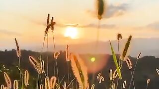 Sunset in the morning