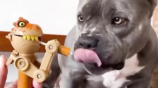 Too cute to handle, too sweet to scroll past