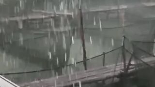 Makin kesini PENYAKIT ikan lele SEMAKIN MENJADI