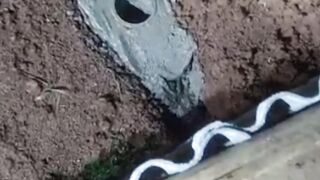 Jangan LUPA buat DRAINASE saat buat kolam